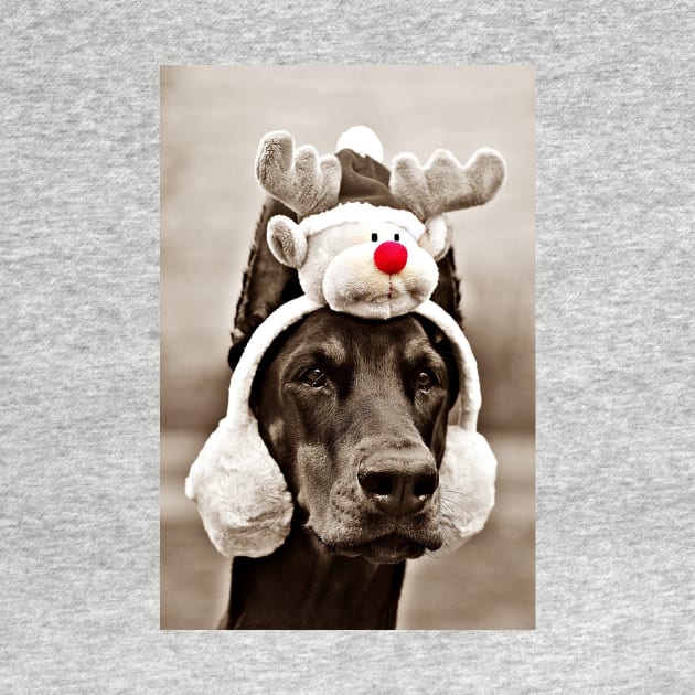Reindeer Dog by DulceDulce